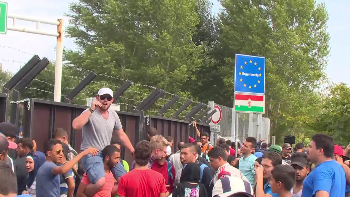 Serbia: ‘Shame on Europe!’ Refugees protest border closure at Hungarian frontier