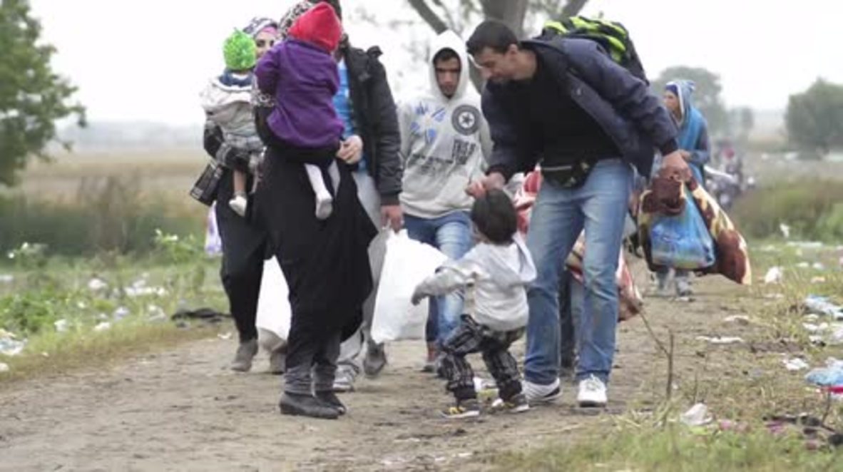 Serbia: Refugees walk through crop fields to reach Croatian border