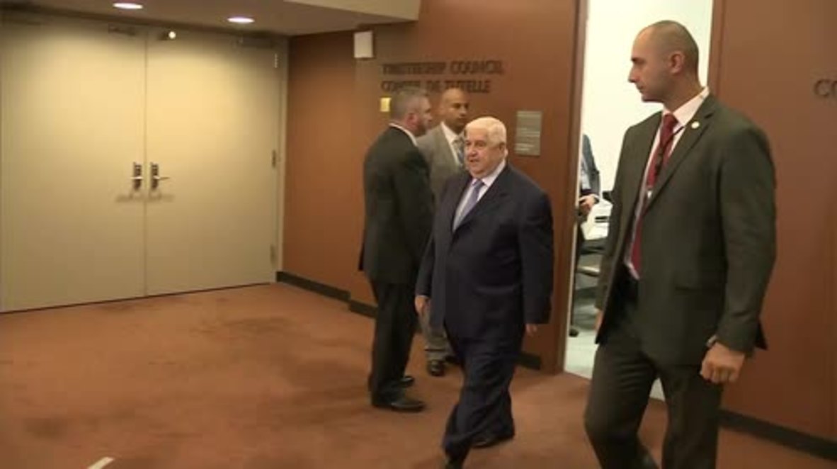 UN: Reports of Russian airstrikes targeting civilians are lies, says FM Muallem