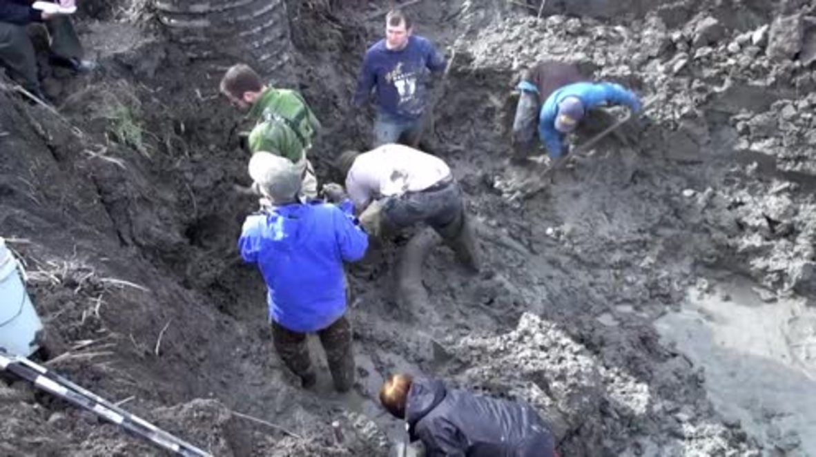 USA: Woolly mammoth remains unearthed in Michigan