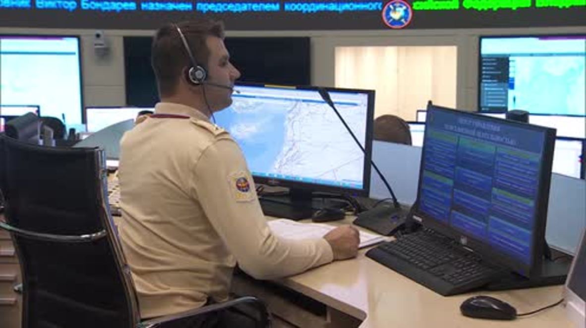 Russia: Forty-nine IS targets destroyed in Syria in 24 hours - Defence Ministry