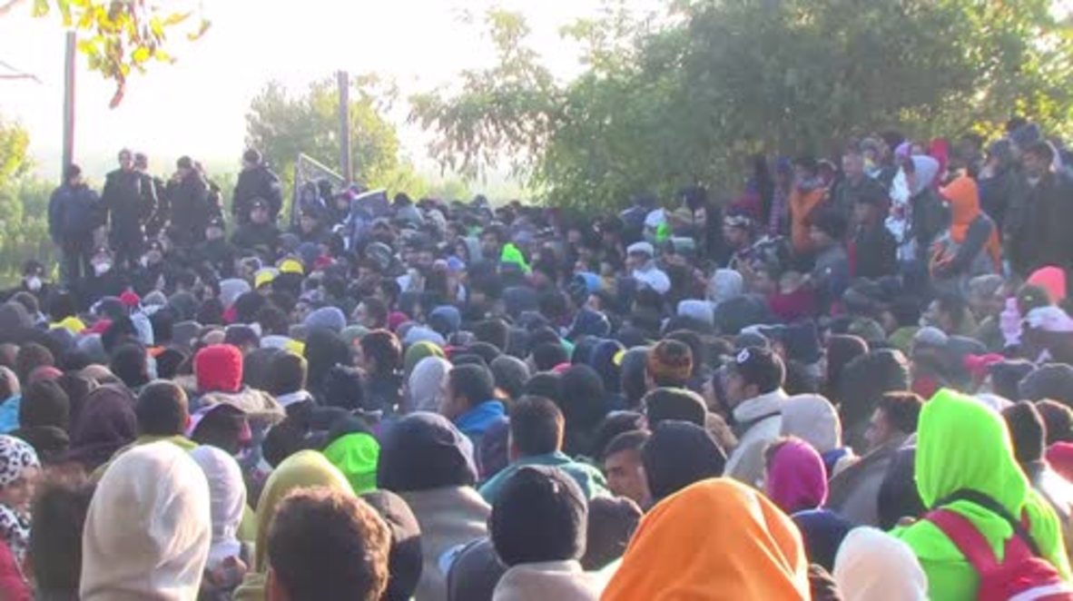 Serbia: Refugees dodge Croatian border control as numbers swell on frontier