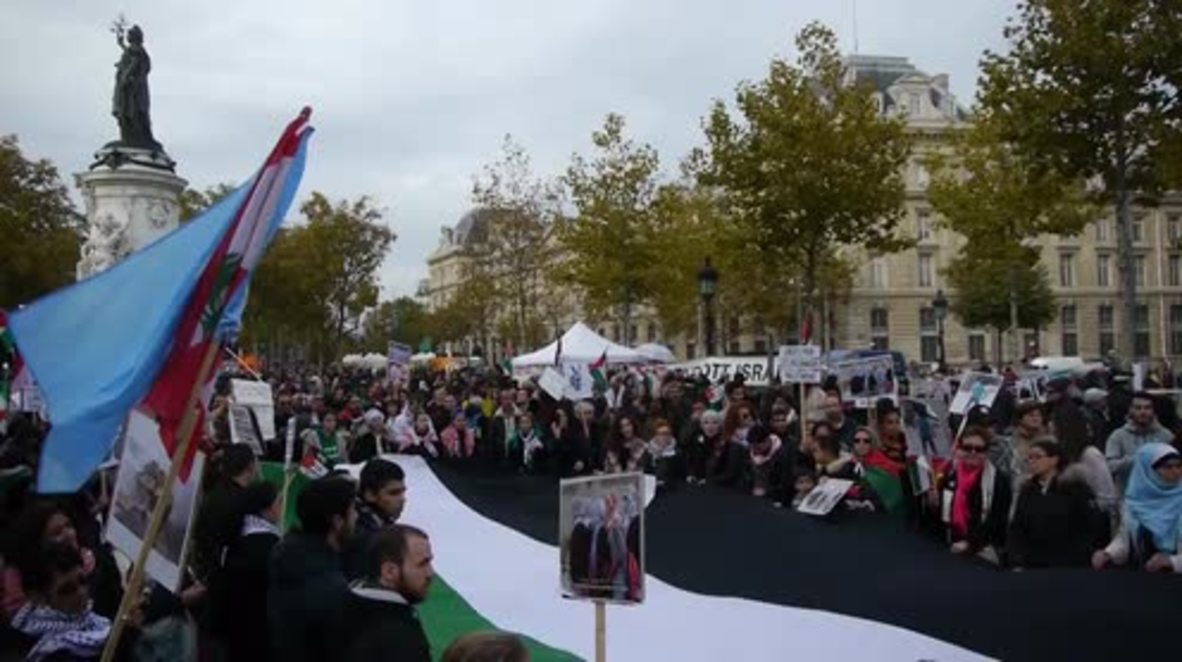France: Hundreds rally in support of Palestine in Paris