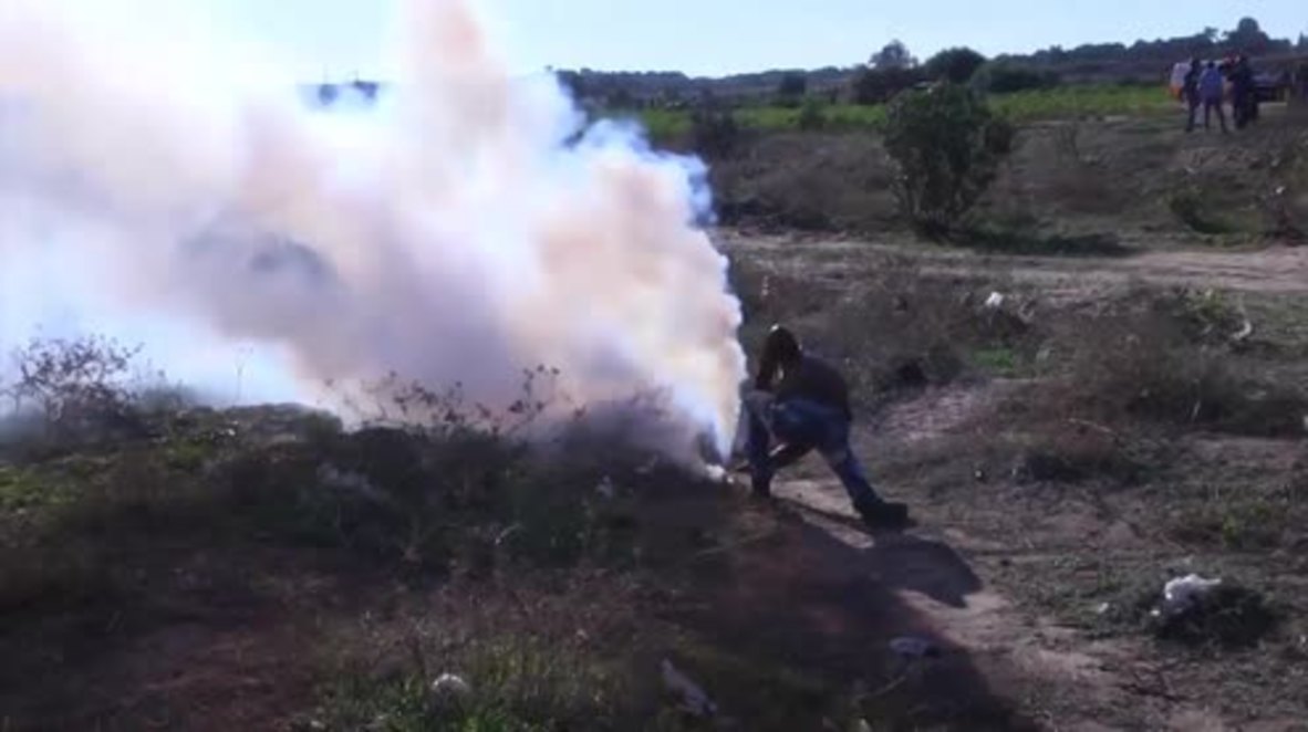 State of Palestine: Israeli forces fire on Palestinian protesters in Gaza Strip