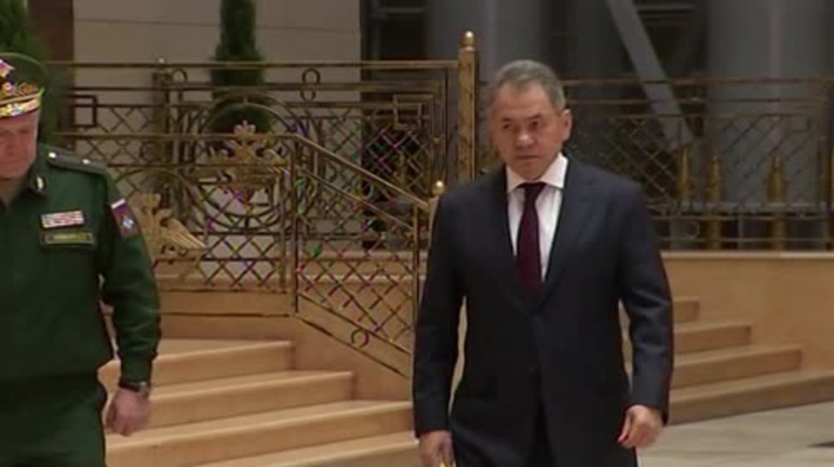Russia: Shoigu touts Indian-Russian military ties after meeting counterpart Parrikar
