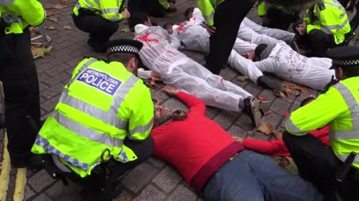 UK: Arrests, scuffles break out at anti-Sisi Downing Street protest