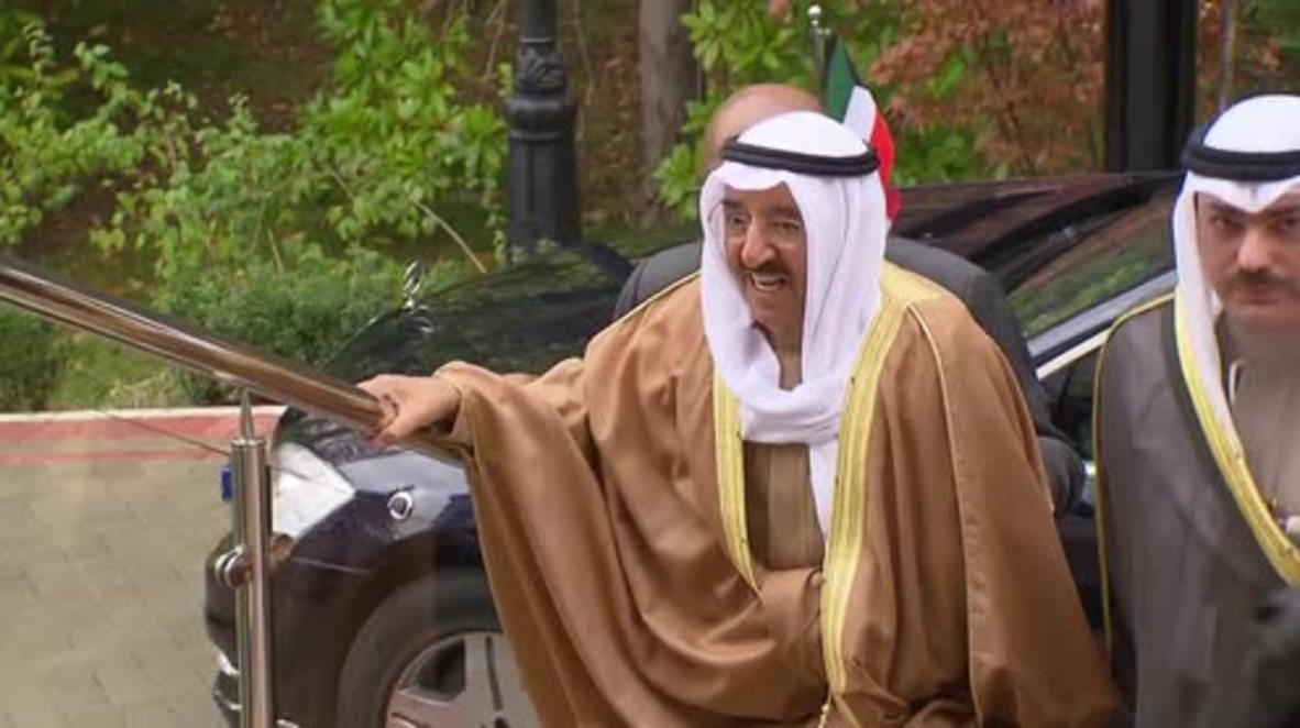 Russia: Putin discusses the Middle East with Kuwaiti Emir in Sochi