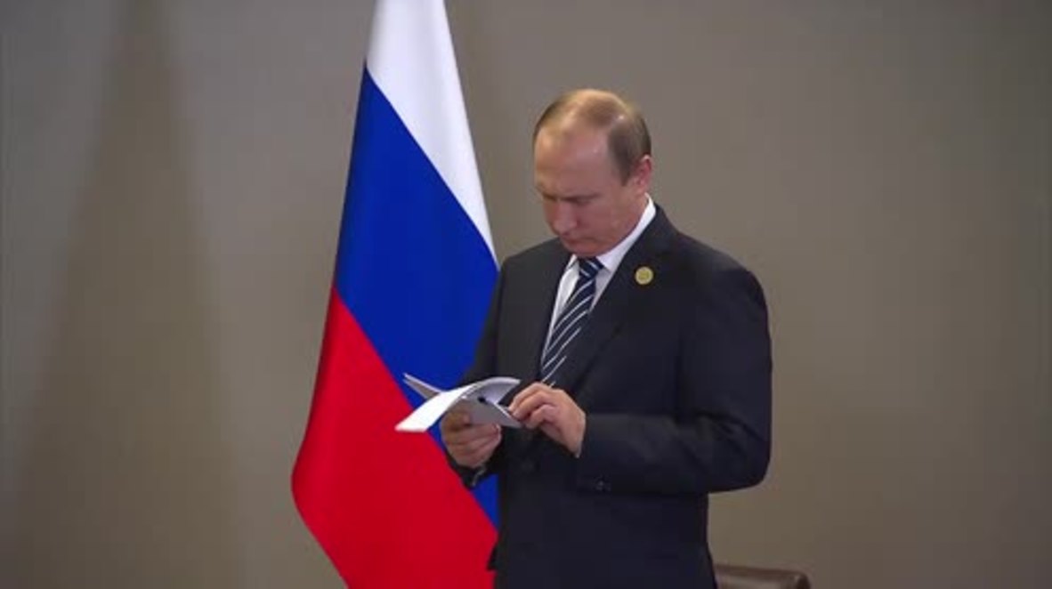 Turkey: Putin and Cameron agree to join forces against terrorism
