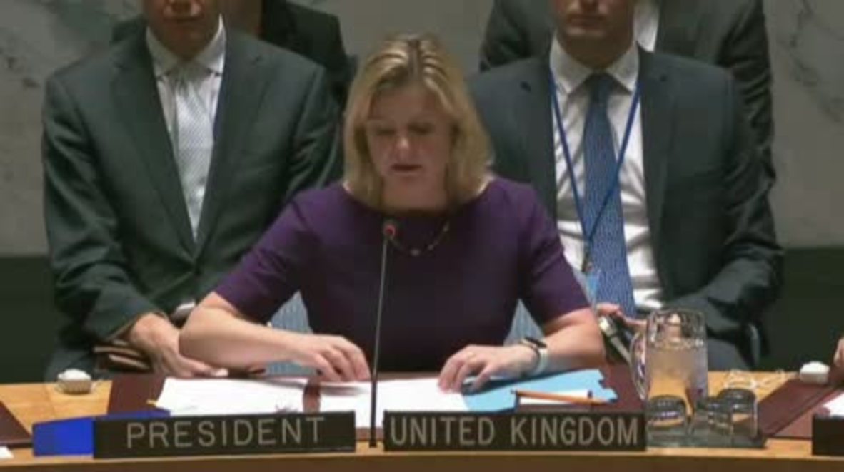 UN: Security Council observes minute of silence to honour victims in Paris and Beirut