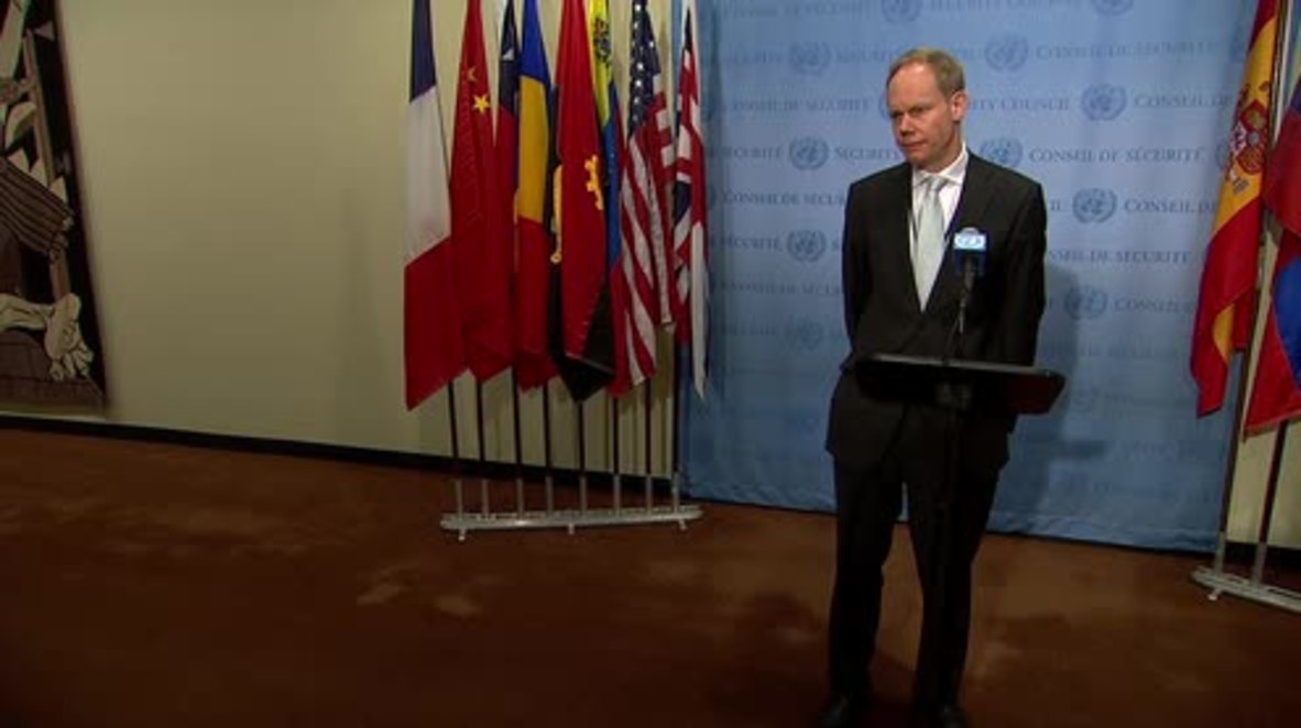 UN: Downing of Su-24 means Syria peace process efforts must 'redouble' - UN's Rycroft