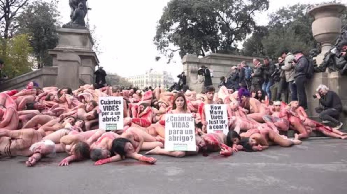 Spain: Anti-fur activists stage naked 'die-in' protest in Barcelona