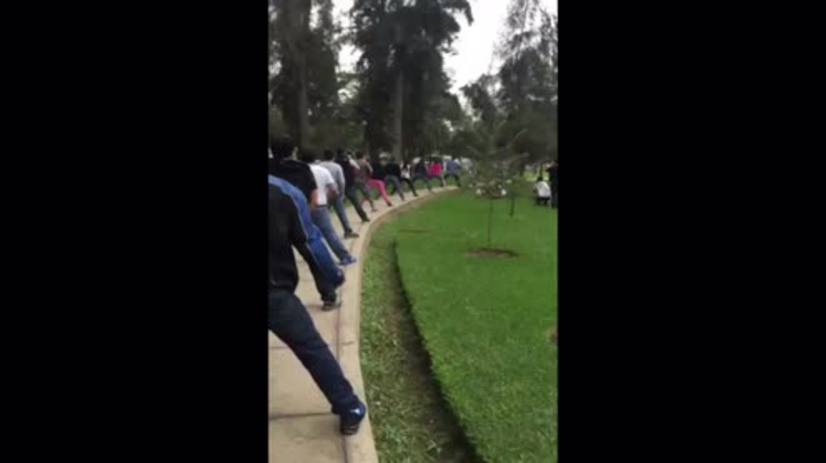 Peru: Skateboarding bulldog Biuf sets new Guinness World Record after 350m ride