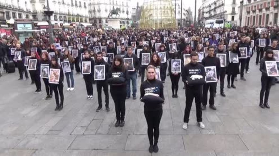 Spain: Activists display dead baby critters to encourage equality with animals