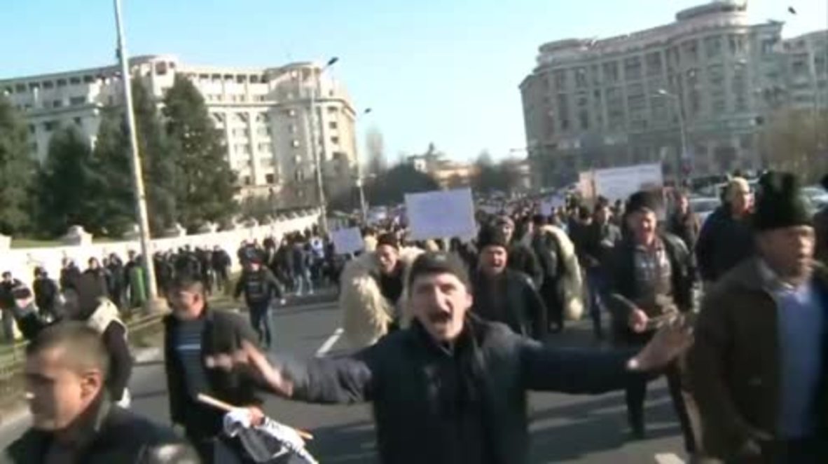 Romania: Shepherds storm parliament in protest over new sheepdog law