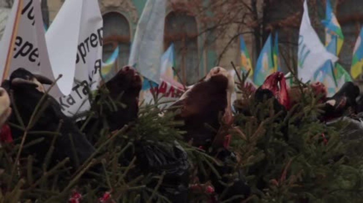 Ukraine: Farmers bring COW HEADS to Kiev protest against VAT policy