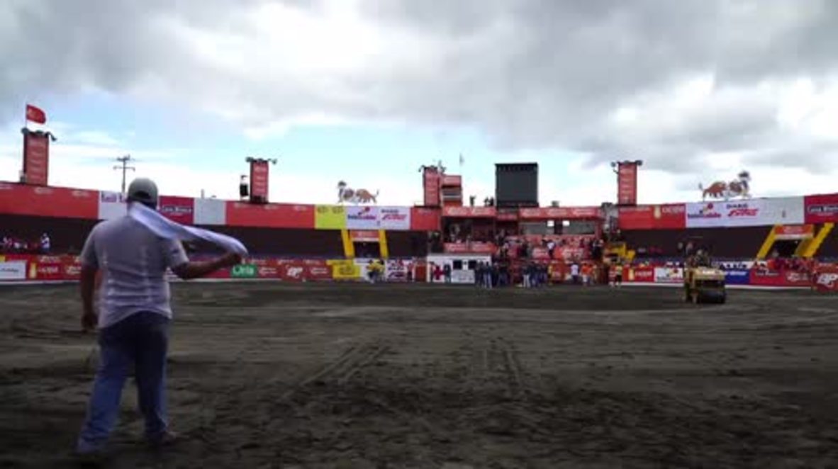 Costa Rica: At this 'humane' bullfight bovines always leave ring alive!