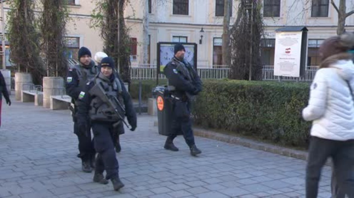 Austria: Heavily armed police secure Vienna ahead of NYE celebrations