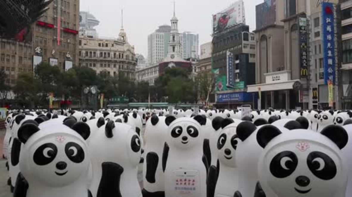 China: 800 panda-styled recycling bins appear in Shanghai
