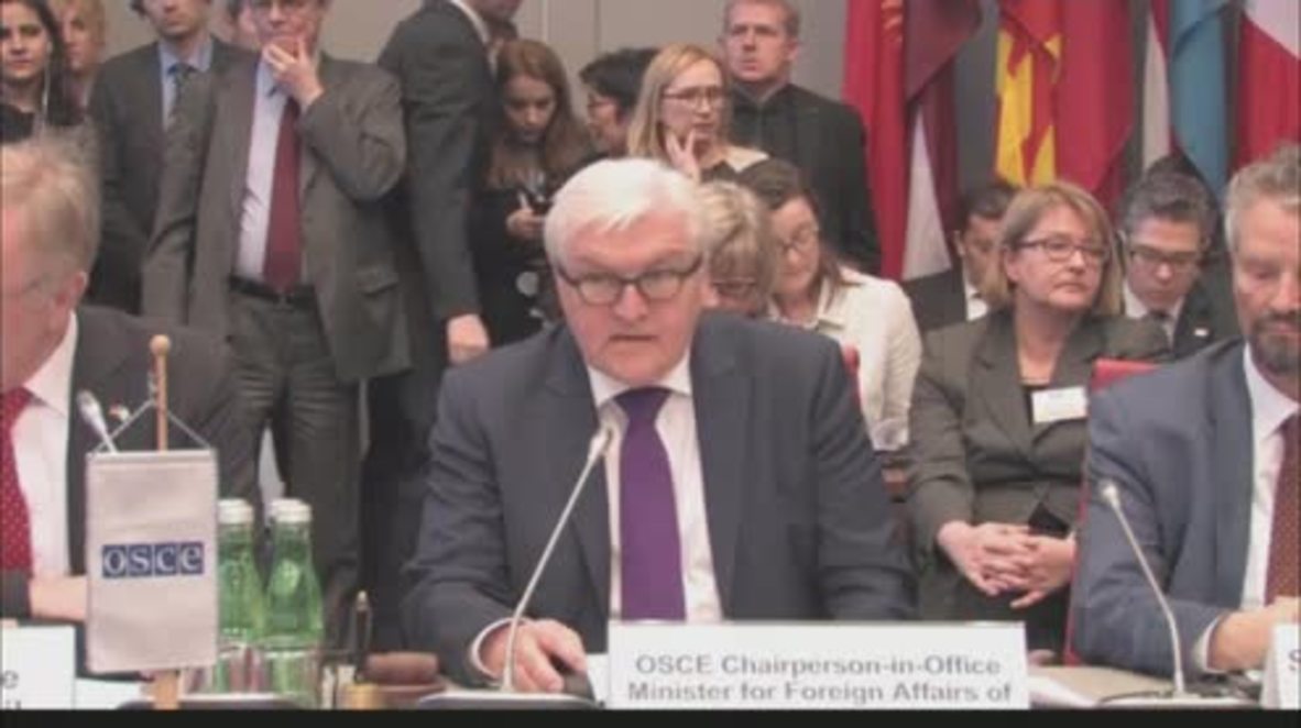 Austria: OSCE's chair Steinmeier condemns Istanbul attack, calls for int. cooperation