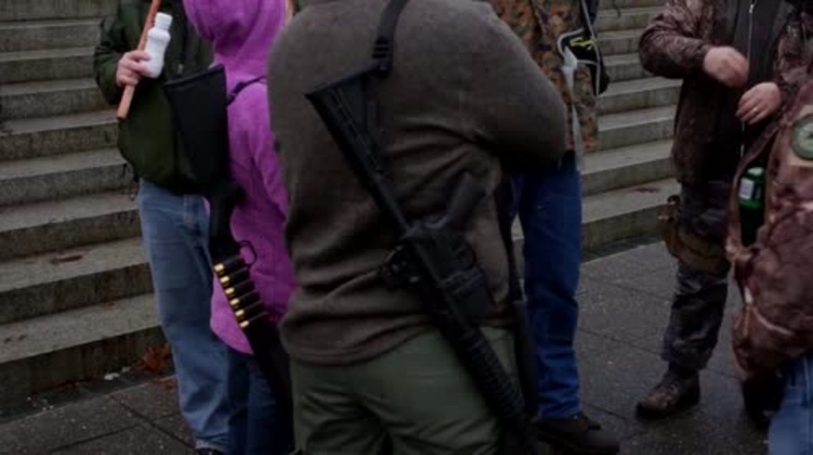 USA: Gun rights activists slam Obama and Hillary Clinton at Olympia rally