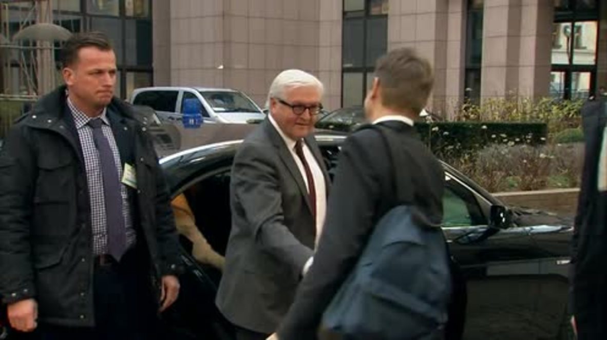 Belgium: Steinmeier fears Saudi-Iran conflict could derail Syria peace process