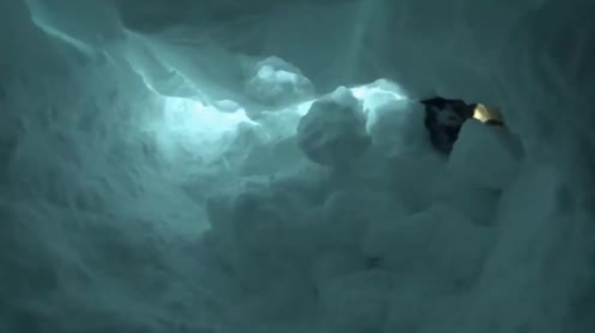 Austria: Avalanche rescue dogs put to the test in Tauplitzalm
