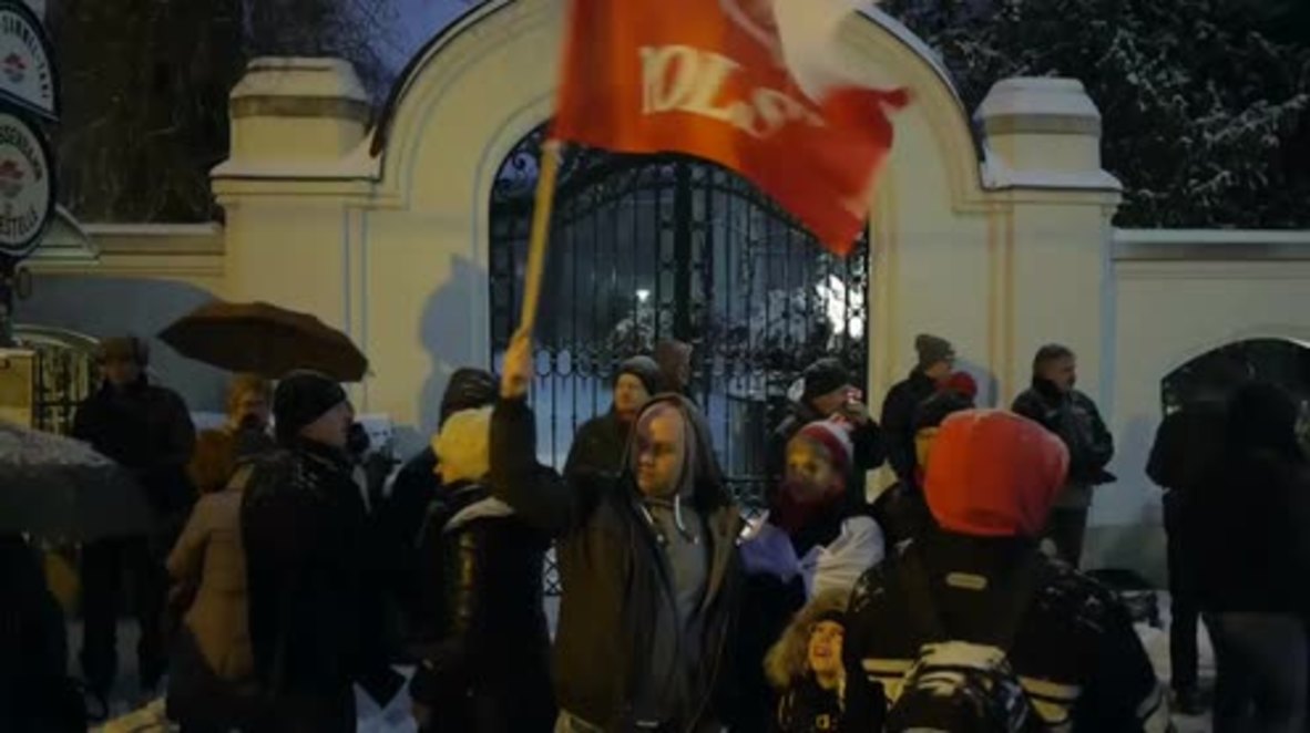 Austria: Polish diaspora protest in support of the PiS-led government