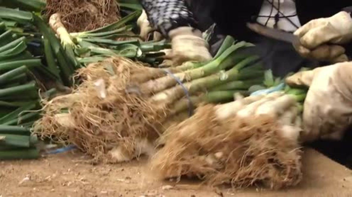 Spain: Man munches 178 SPRING ONIONS doused in HOT SAUCE to win contest