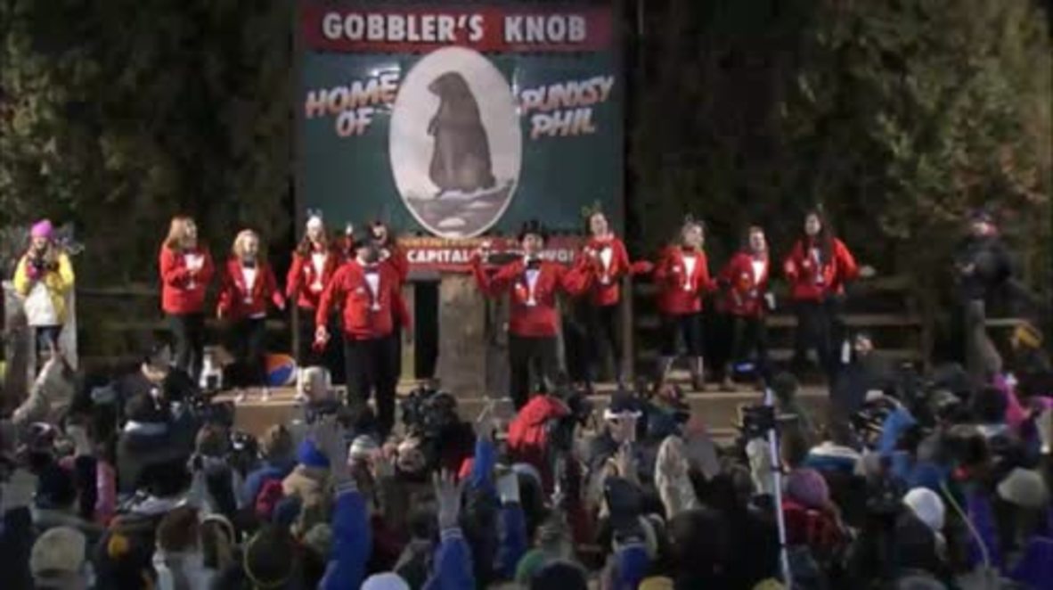USA: Punxsutawney Phil predicts an early spring on Groundhog Day