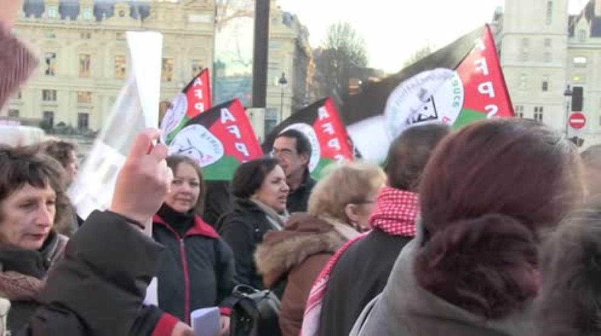 France: Pro-Palestine activists rally as Paris condemns ‘anti-Israel’ demonstrations