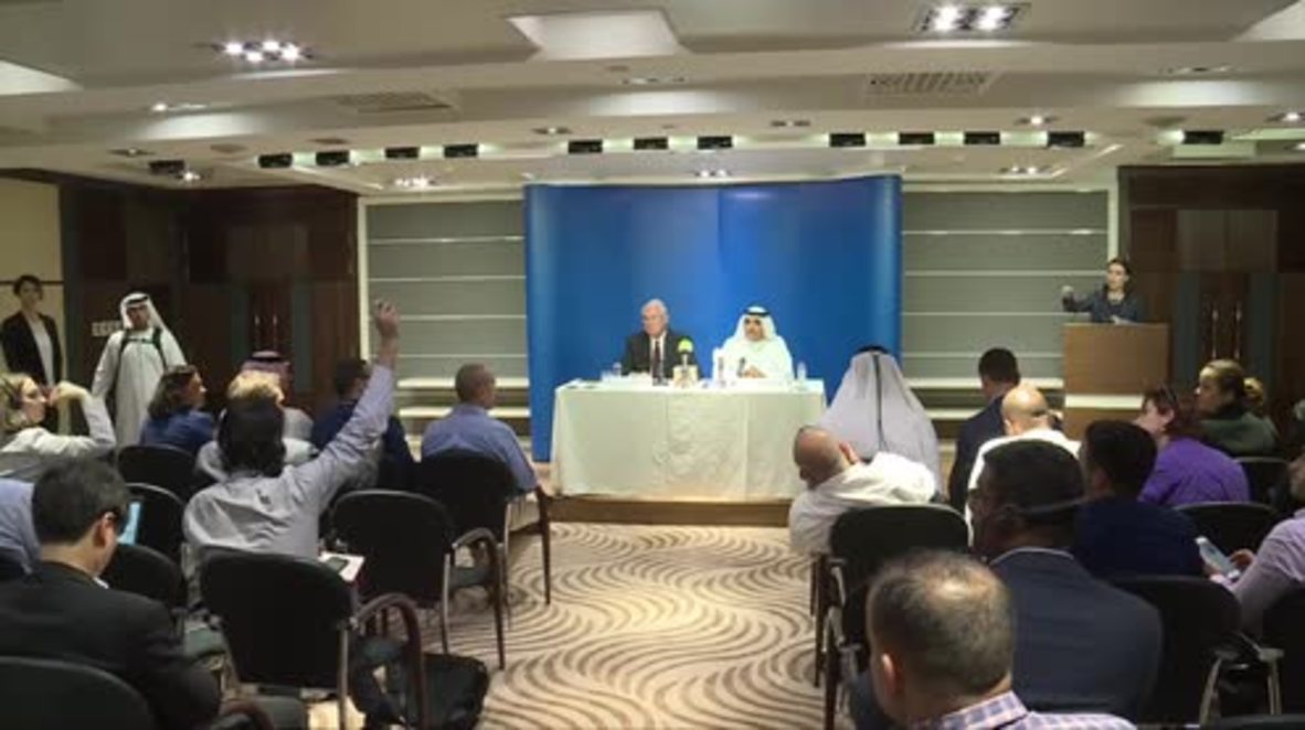 UAE: FlyDubai CEO urges halt to 'rumours and estimations' of cause of crash