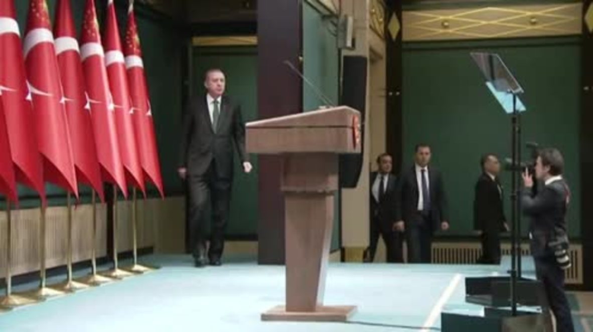Turkey: Erdogan suggests stripping citizenship from 'terrorist' organisation supporters