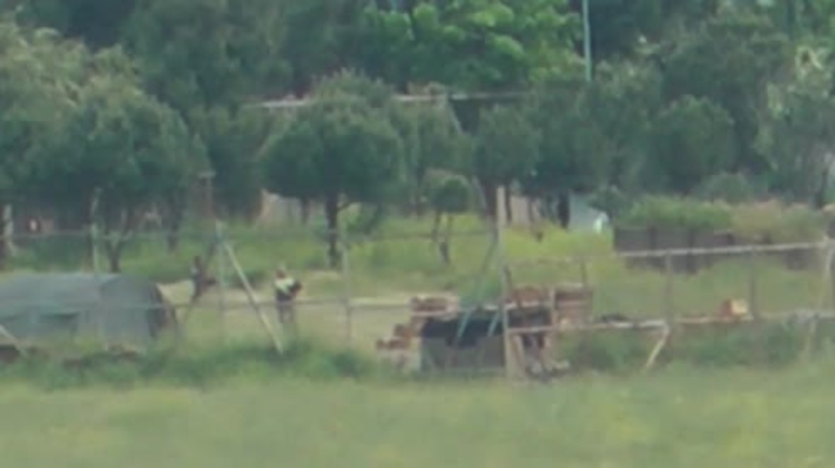 Turkey: Turkish army continues shelling of Nusaybin as curfew drags on