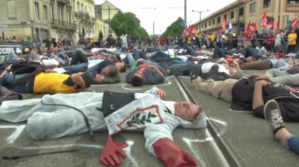 France: Protesters welcome Hollande's Bordeaux visit with huge 'die-in'