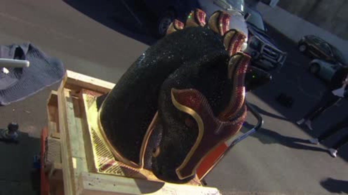 New Zealand: High-ho Silver! €9mil of cocaine found in diamond-encrusted HORSE head