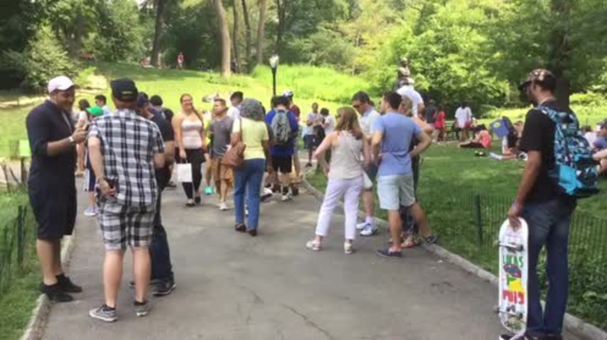 USA: Pokemon GO fans swarm NYC's Central park