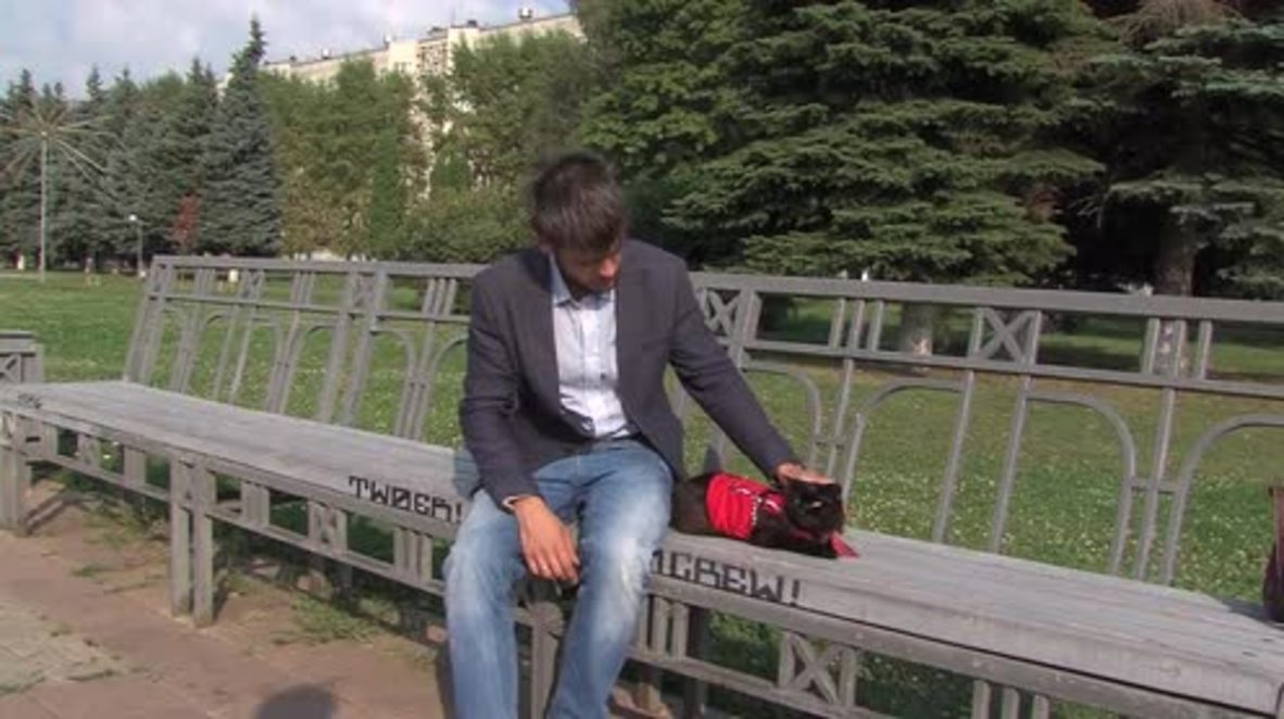 Russia: Pawsitively purrrlitical! Meet Begemot, the Russian CAT running for office