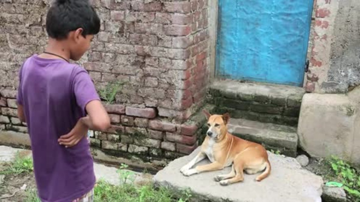 India: Meet Mohit, the 10-yr-old boy who feeds on dog milk