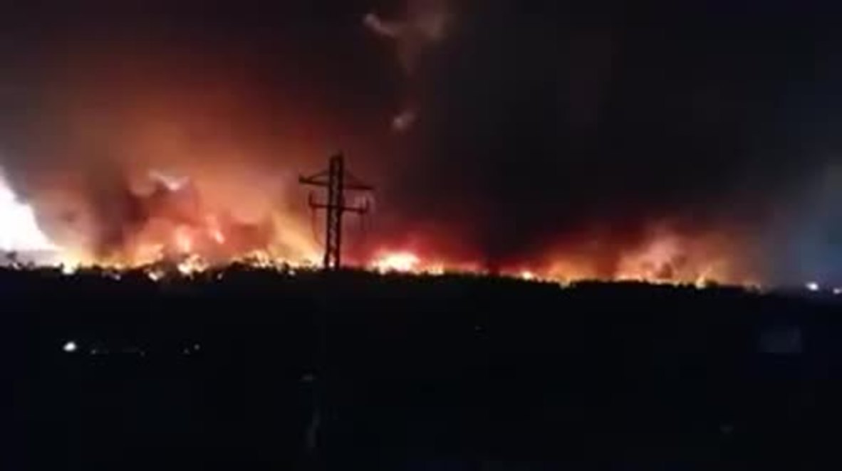 Spain: One killed in forest fire after German sets toilet paper alight