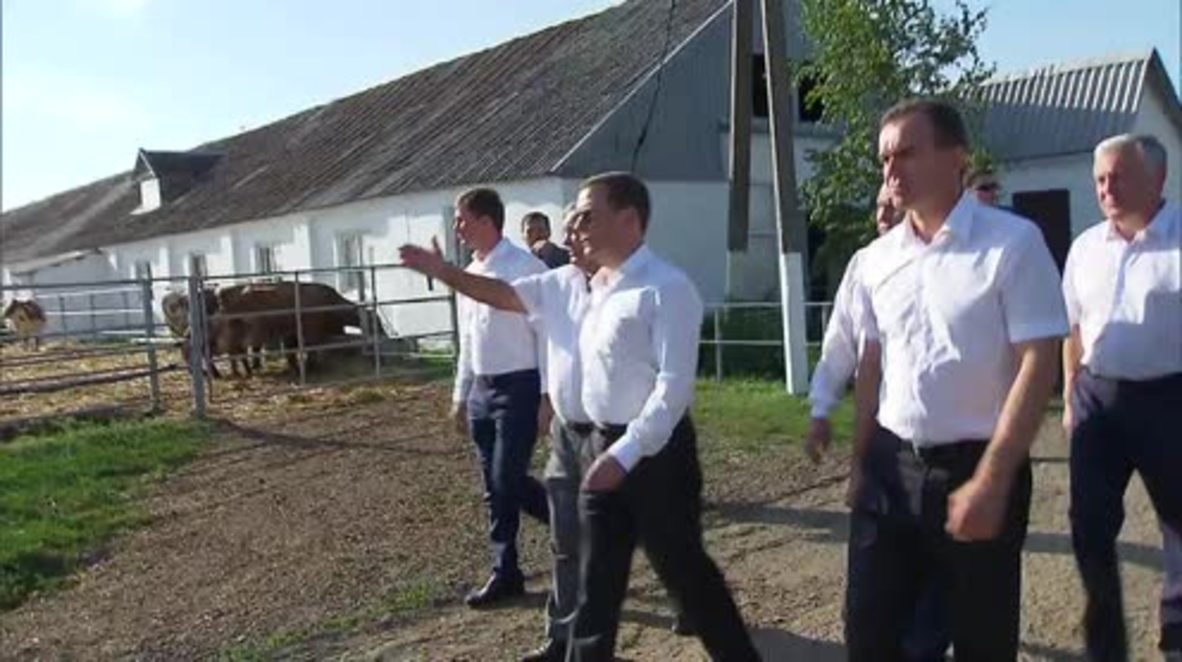 Russia: Medvedev visits farm in Krasnodar Krai