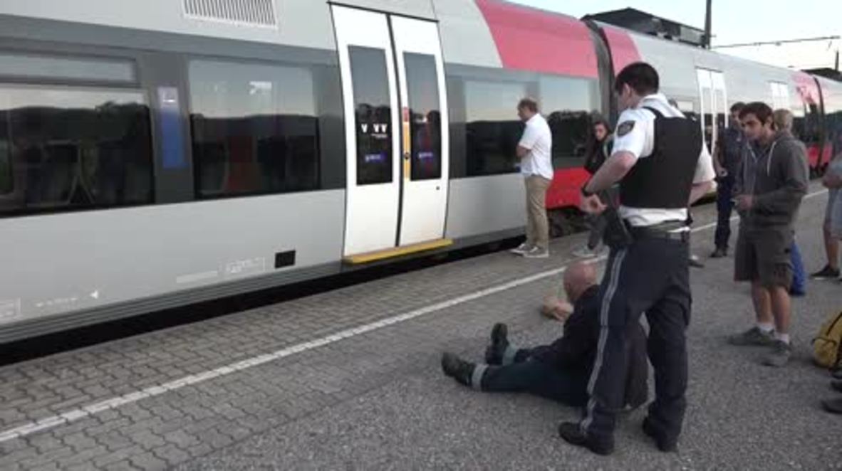 Austria: Three people injured in knife attack on Vorarlberg train