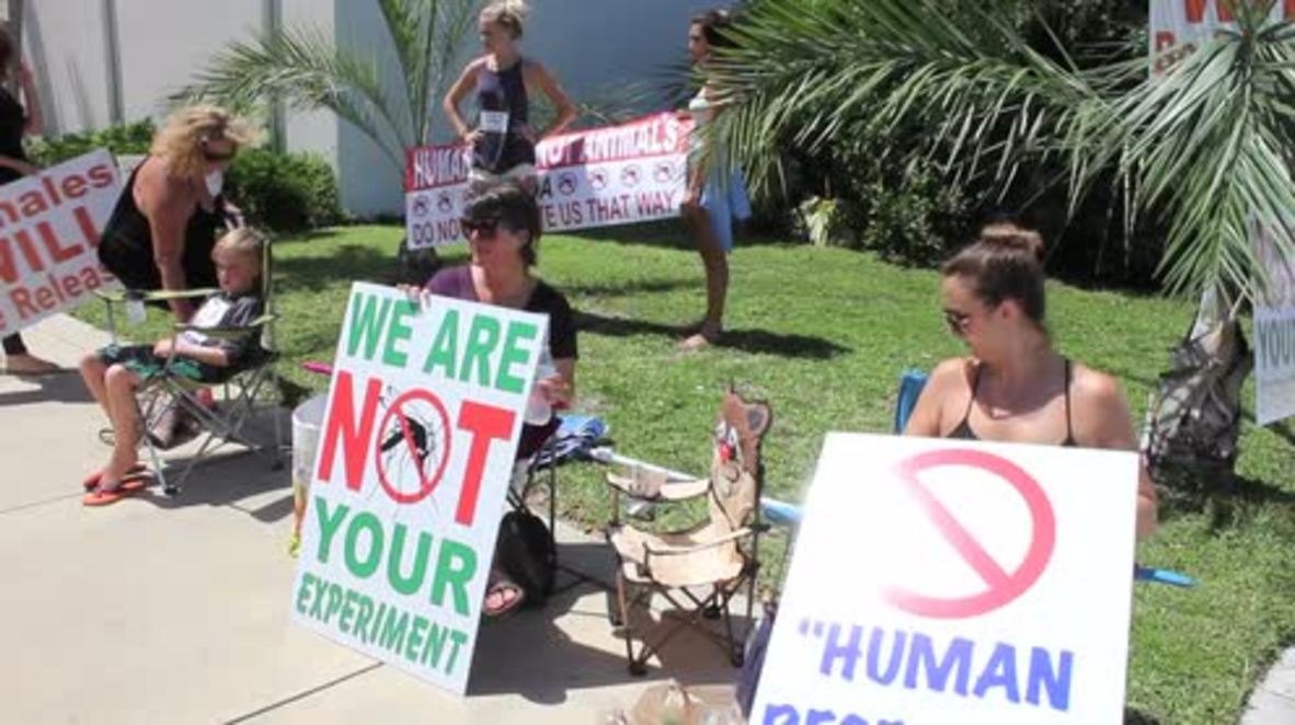 USA: Florida Keys residents decry planned release of GM mosquitos