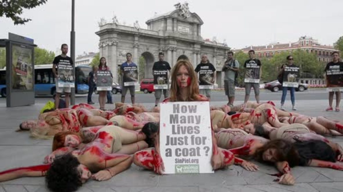 Spain: Activists smear bare bodies in blood in fight for animal rights