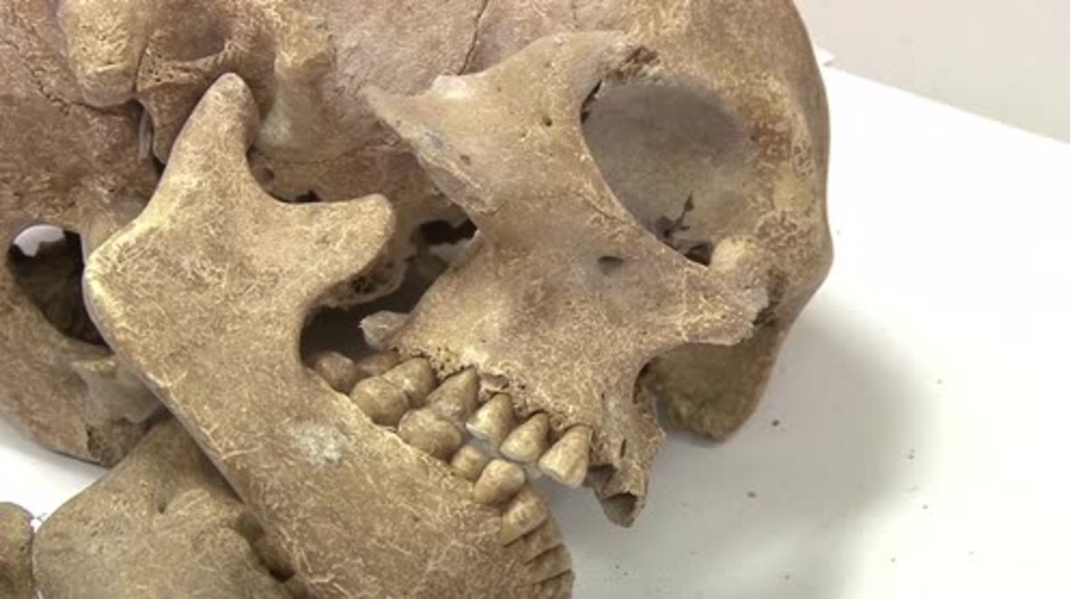 Russia: Age no obstacle to love. Ancient skeletons found holding hands