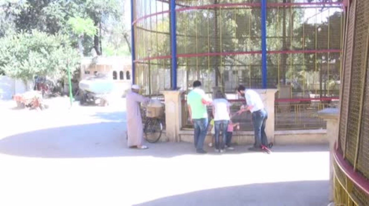 Syria: Last animal in Aleppo zoo brings relief to local children