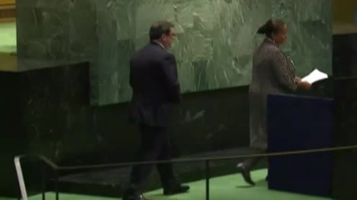 UN: UN must be 'defended from unilateralism' - Cuban FM