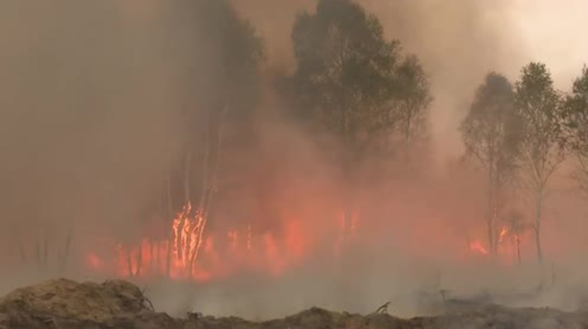 Germany: White phosphorus bomb detonates in Wittstock causing massive forest fire