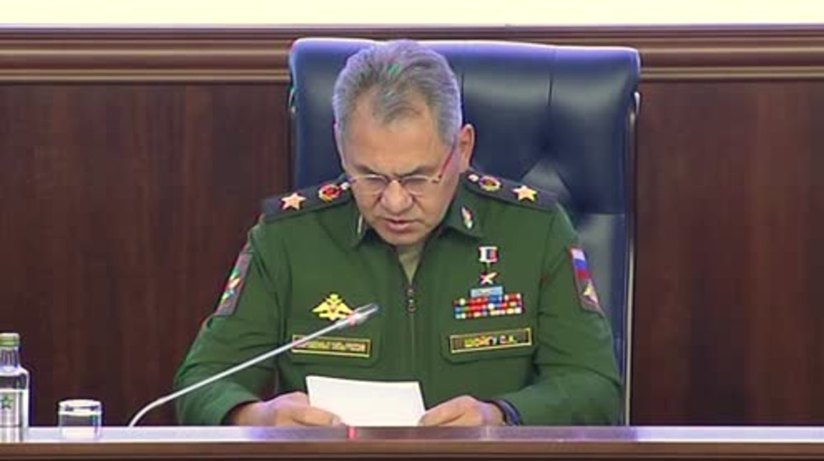 Russia: Year-long Syria campaign freed large part of country from terrorists - Shoigu