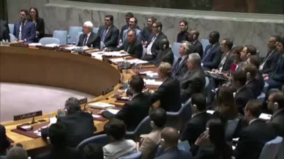 UN: Russia vetoes French-drafted UNSC resolution on Syria