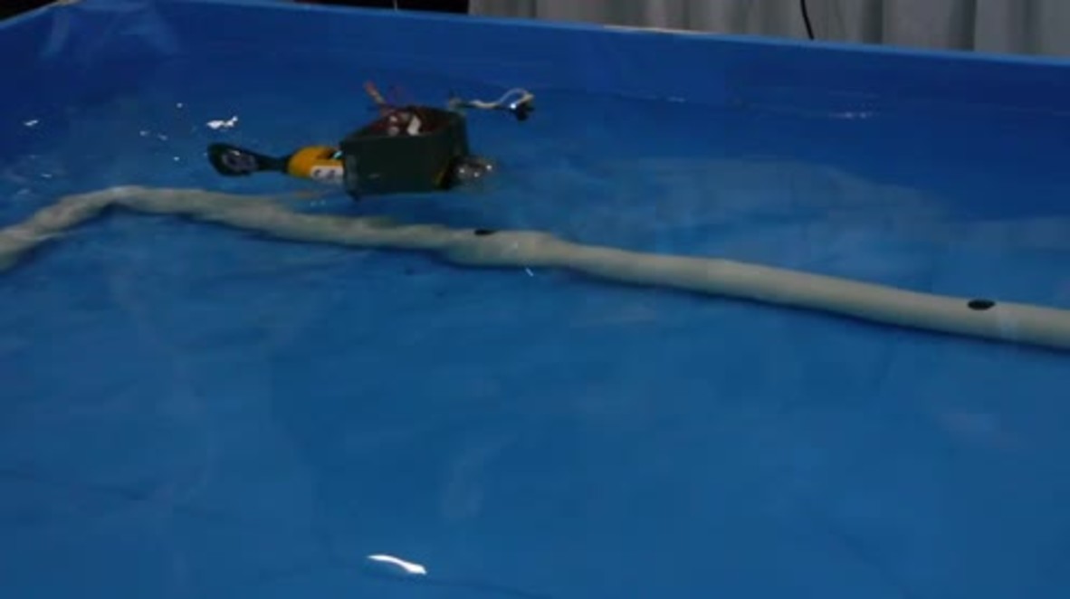 China: Robo-fish and artistic androids impress at World Robot Conference
